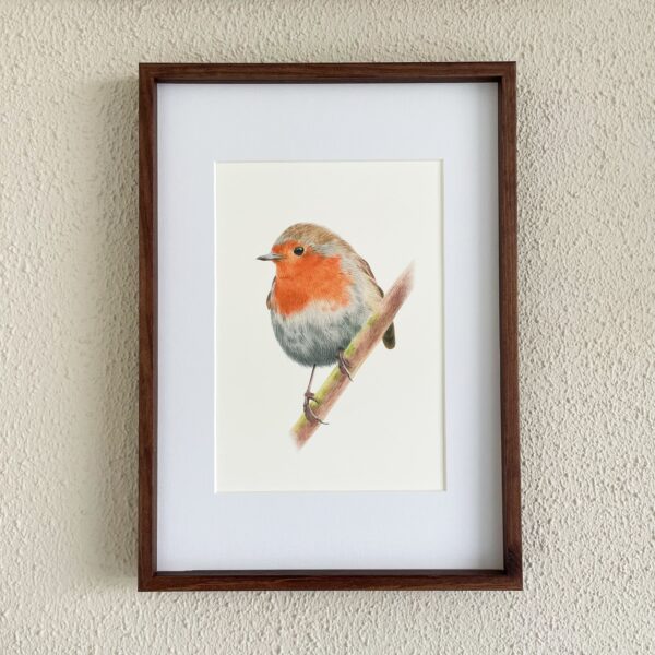 Print Roodborstje
