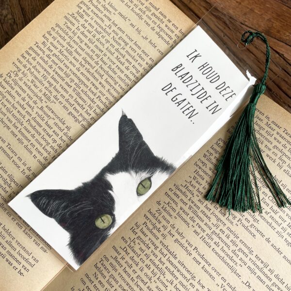 Boekenlegger glurende kat