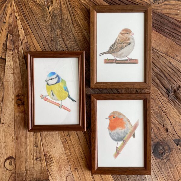 Vintage lijstjes met tuinvogels print - set van 3
