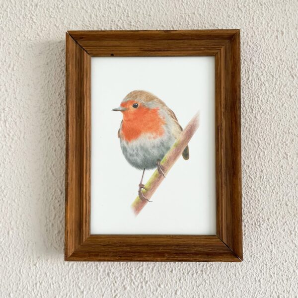 Vintage lijst met roodborstje print