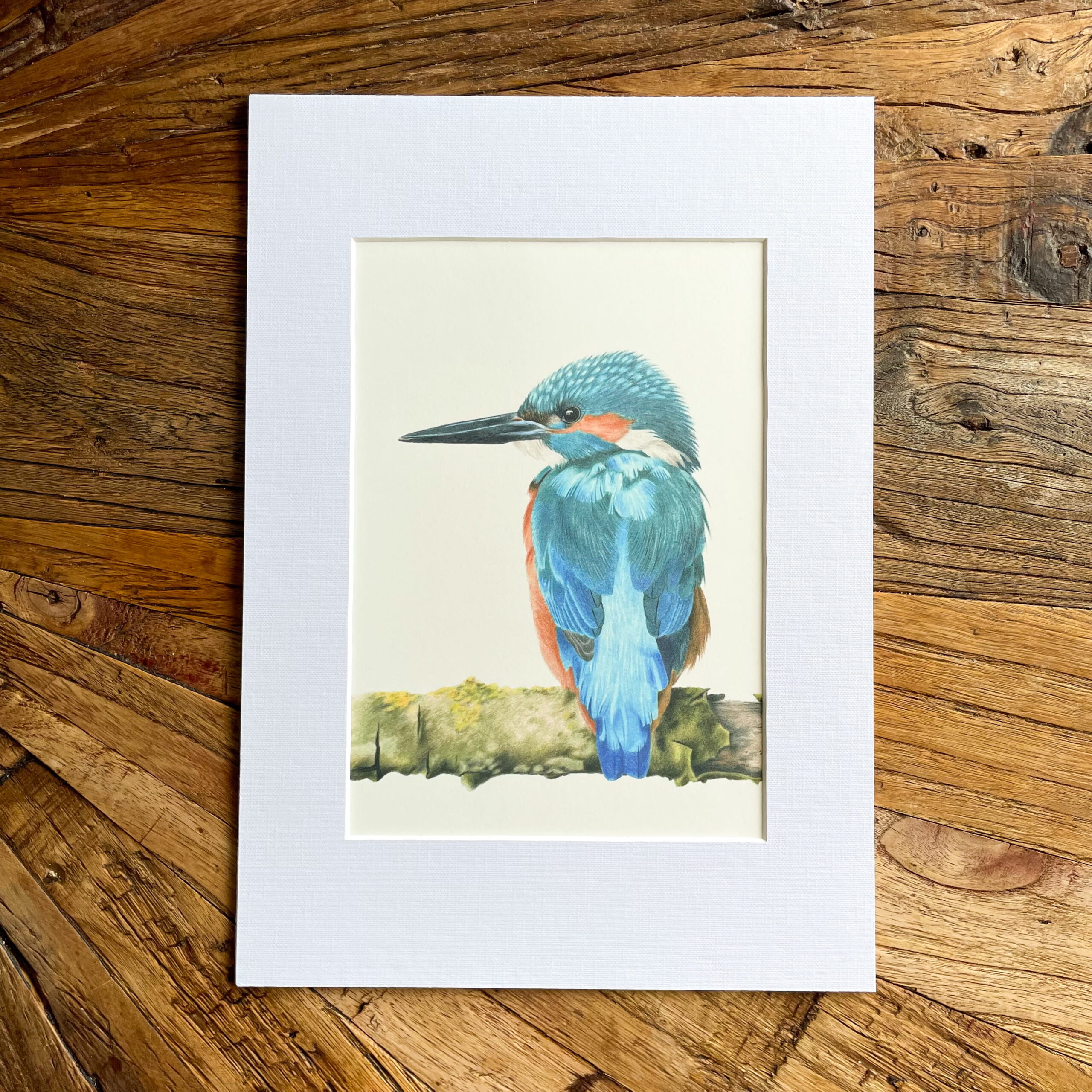 Print ijsvogel - Afbeelding 3