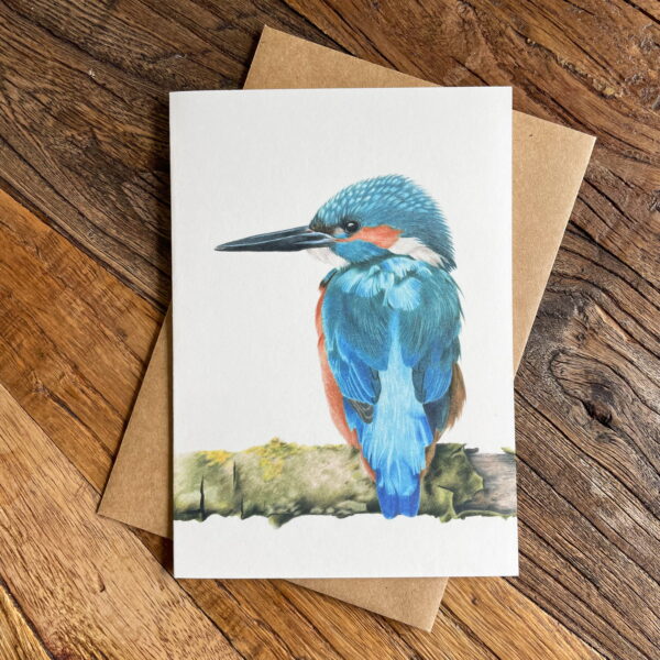 Wenskaart ijsvogel