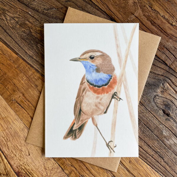 Wenskaart blauwborst