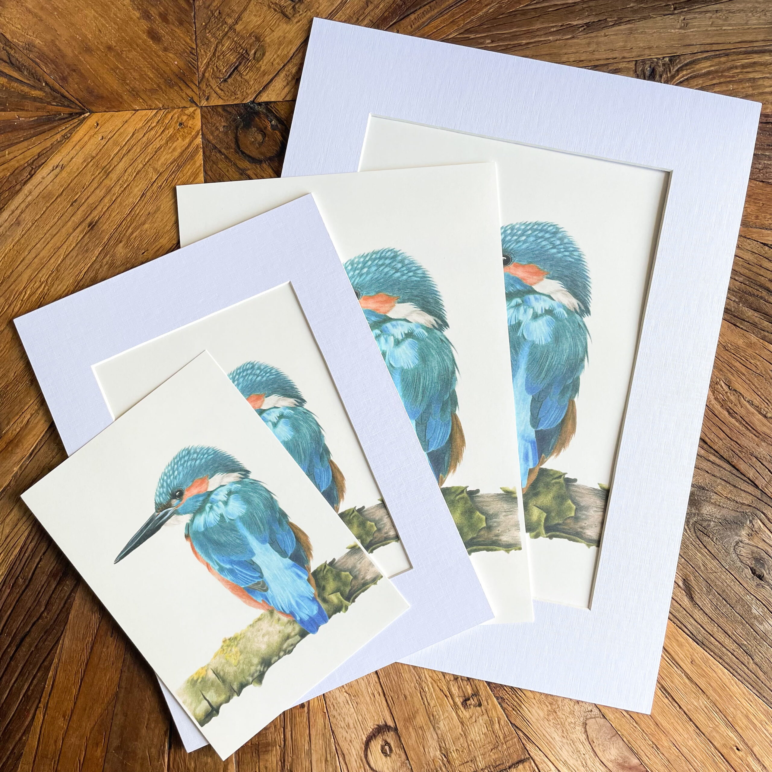 Print ijsvogel - Afbeelding 2