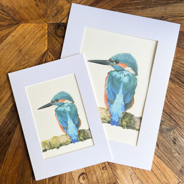 Print ijsvogel