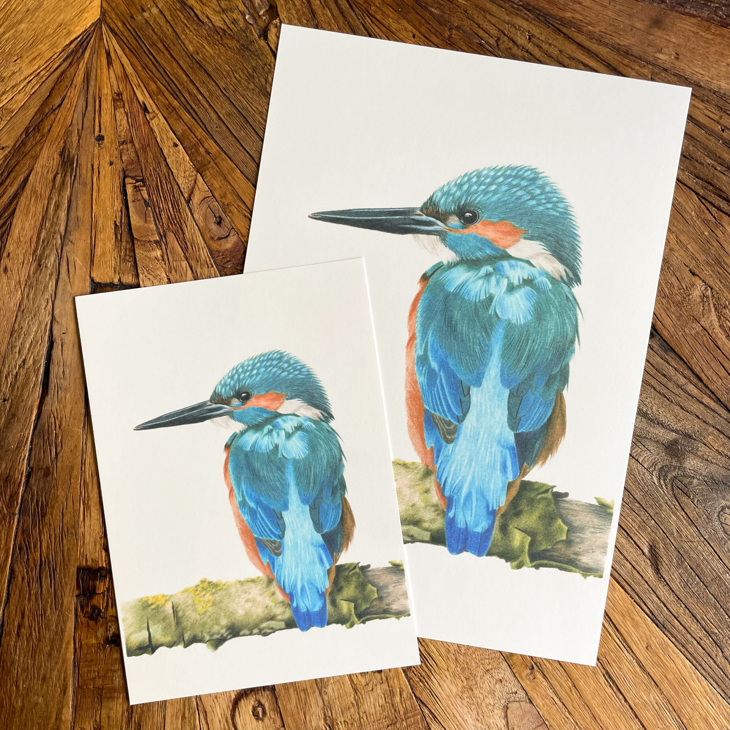 Print ijsvogel - Afbeelding 4
