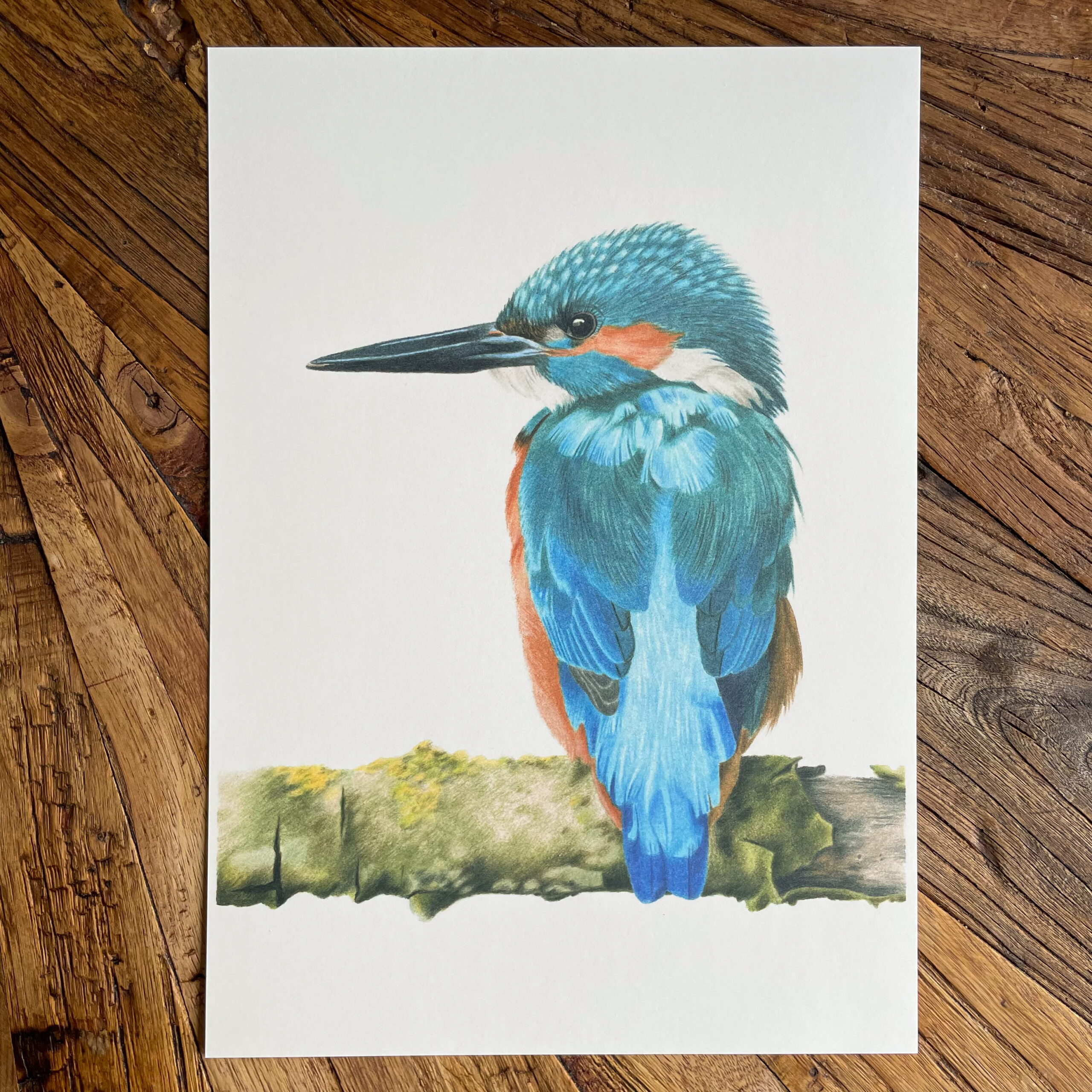 Print ijsvogel - Afbeelding 5