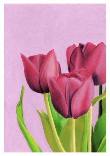 tulpen-roze-min